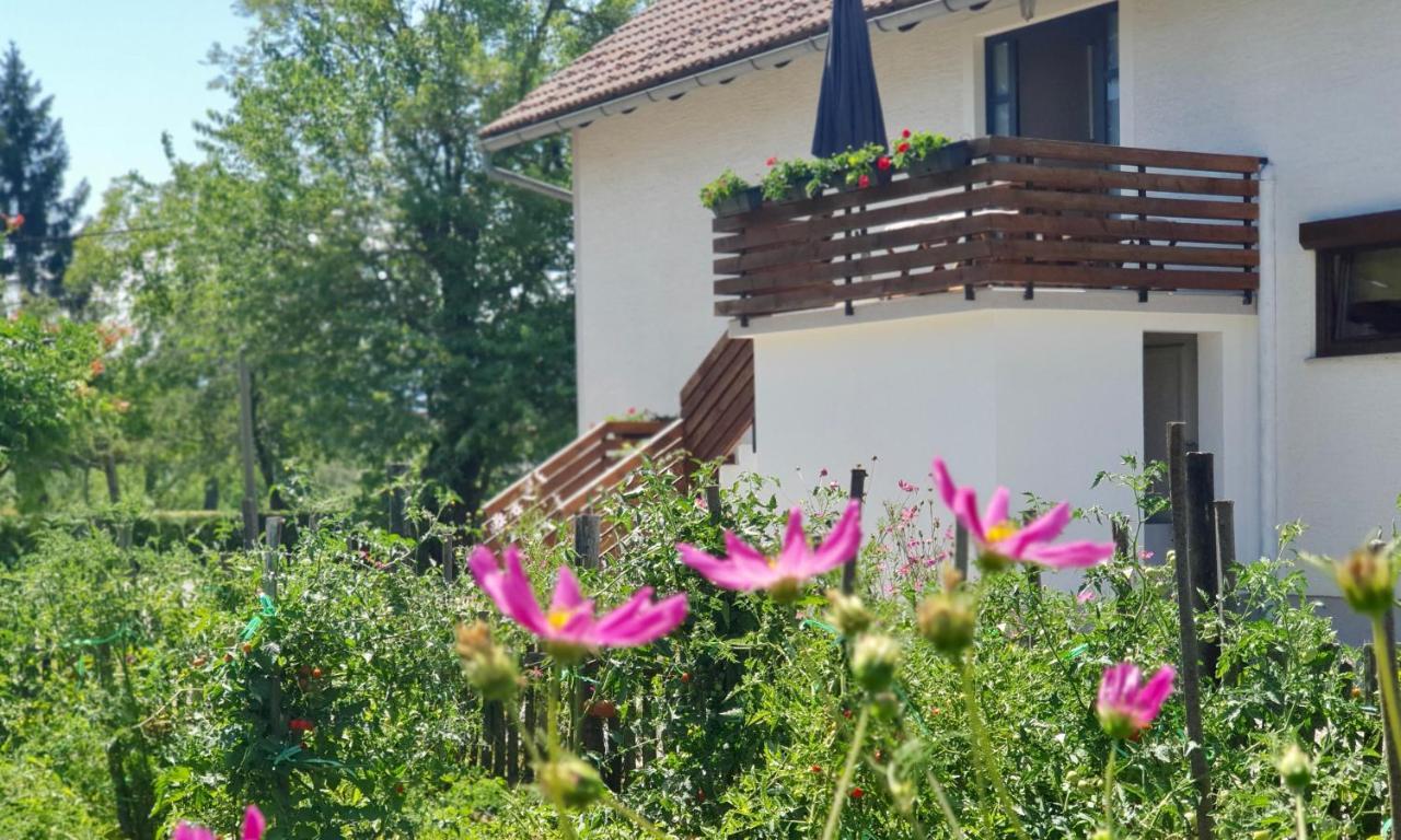 Apartment Murva Drežnik Grad Exteriör bild