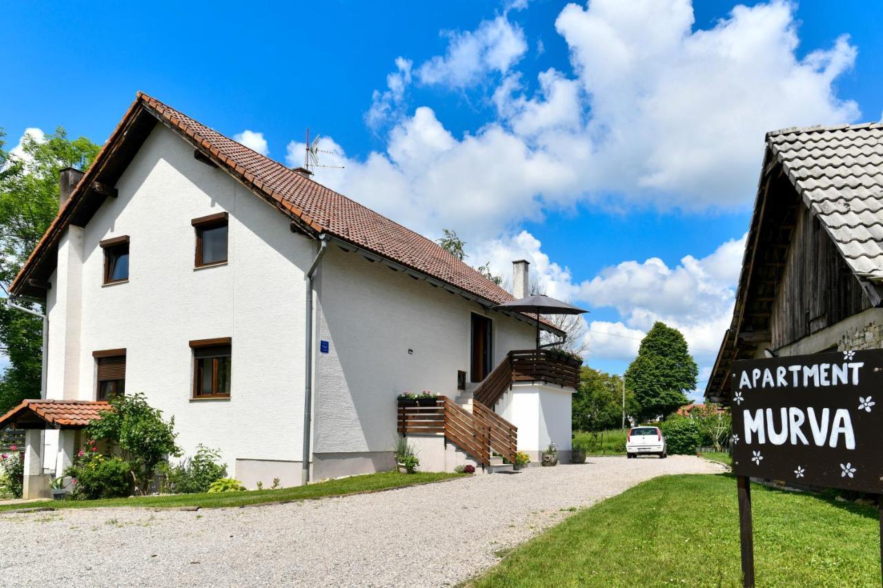 Apartment Murva Drežnik Grad Exteriör bild